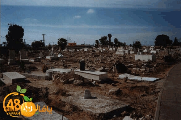 ramla and lud 18473 (5).jpg